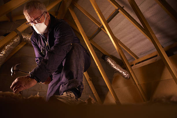 Best DIY Insulation Kits and Guidance in Ocean Acres, NJ